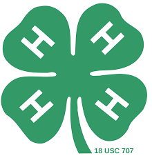 4 H